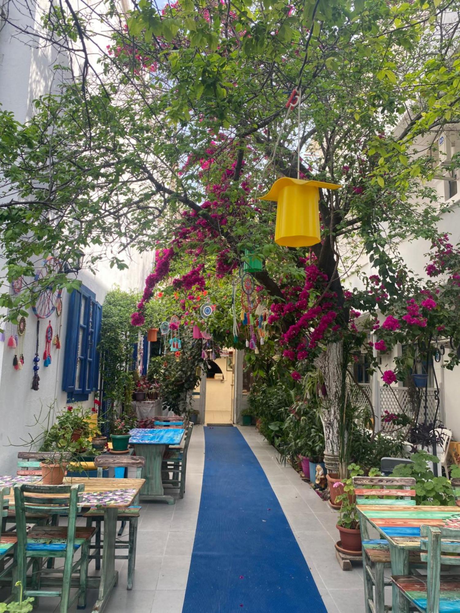 Miss Hotel Karya أورين المظهر الخارجي الصورة